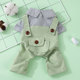 Pet cat clothes four-legged striped overalls thin blue cat ragdoll small cat spring and summer anti-shedding
