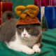 Cat Christmas Headdress Cute Little Red Riding Hood Festive Headband