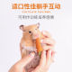 Hamster teething stick snacks golden bear carrot rabbit grindstone grass cake special toys for teething landscaping teething stick