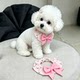 Dog saliva bandana for medium and large dogs Bichon Schnauzer neck scarf bow collar decoration accessories