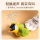 Cat toy, simulated bird, making sounds, self-entertaining, relieving boredom, cat teasing stick, consuming energy, kitten teeth grinding, cat supplies