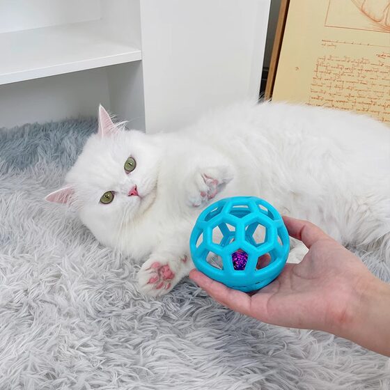Cat toy ball, self-pleasure, amusing cat ball, energy consumption, cat supplies collection, puppies, puppies and kittens, teeth grinding