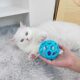 Cat toy ball, self-pleasure, amusing cat ball, energy consumption, cat supplies collection, puppies, puppies and kittens, teeth grinding
