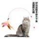 Amoer wire cat teaser stick is flexible and durable