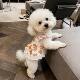 Pet dog clothes thin anti-shedding cat flower vest dress small dog Bichon Teddy 2026 new style