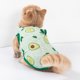 Summer Thin Cool Breathable Vest for Cats and Dogs