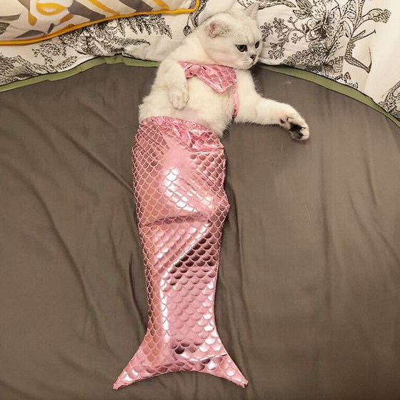 Cat clothes, mermaid decoration, fish tail, funny photo props, one-piece pet costume, same style as Douyin