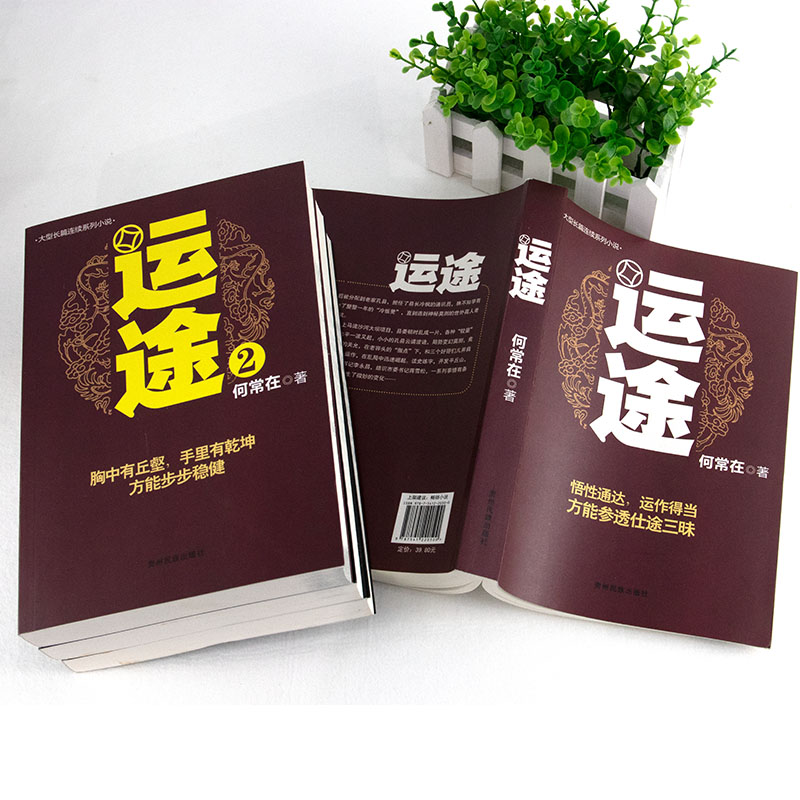 正版包邮【运途4册】1234全套 何常在官场小说胜算问鼎作者又一力作官场政商小说 全集二号首长规矩高参位子靠山同类畅销图书籍gj,淘宝优惠券,粉丝福利购,淘宝优惠卷