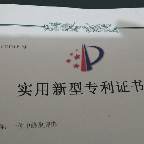 发明人曾阿来蜂具过箱神器蜂巢夹脾条取蜜收蜂国宝箱35cm10副起售 - 图1