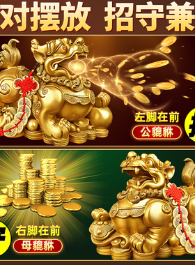 貔貅招财摆件客厅聚纯铜公母