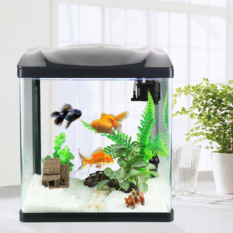 small tank decorations