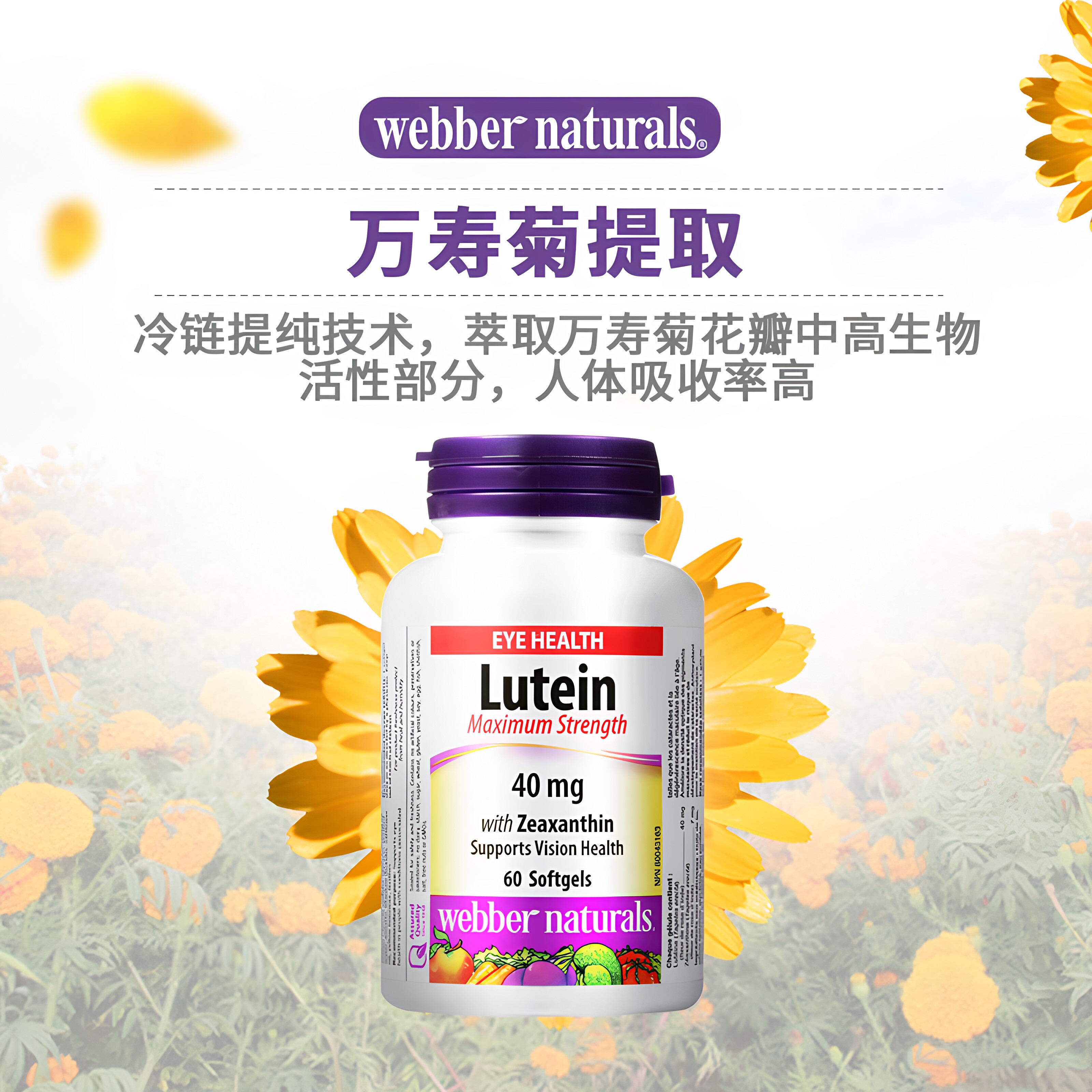 Webber强效高含量叶黄素玉米黄质40mg成人眼酸眼涩眼疲劳护眼胶囊