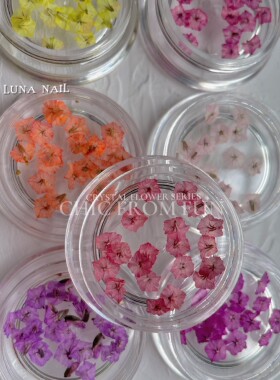 luna新款干花美甲饰品小众花瓣押花立体水晶花diy指甲材料素材品