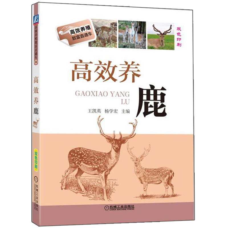 养鹿 梅花鹿养殖书 养殖场建设营养需要繁育饲养与管理鹿病防治鹿茸鹿角鹿鞭鹿胎产品加工教程 规模化养鹿技术指导手册图书籍 - 图1
