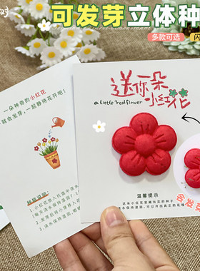 可种植立体环保种子纸卡片材料包