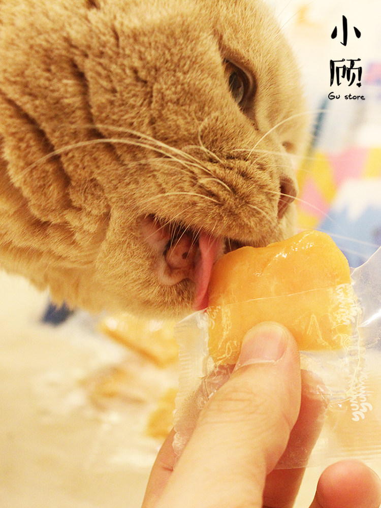 yummy吆咪 猫零食肉肉君鸡肉鸭肉金枪鱼三文鱼成幼猫狗肉块40g,淘宝优惠券,粉丝福利购,淘宝优惠卷