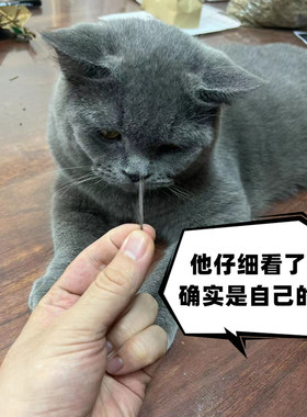小胖的一撮毛