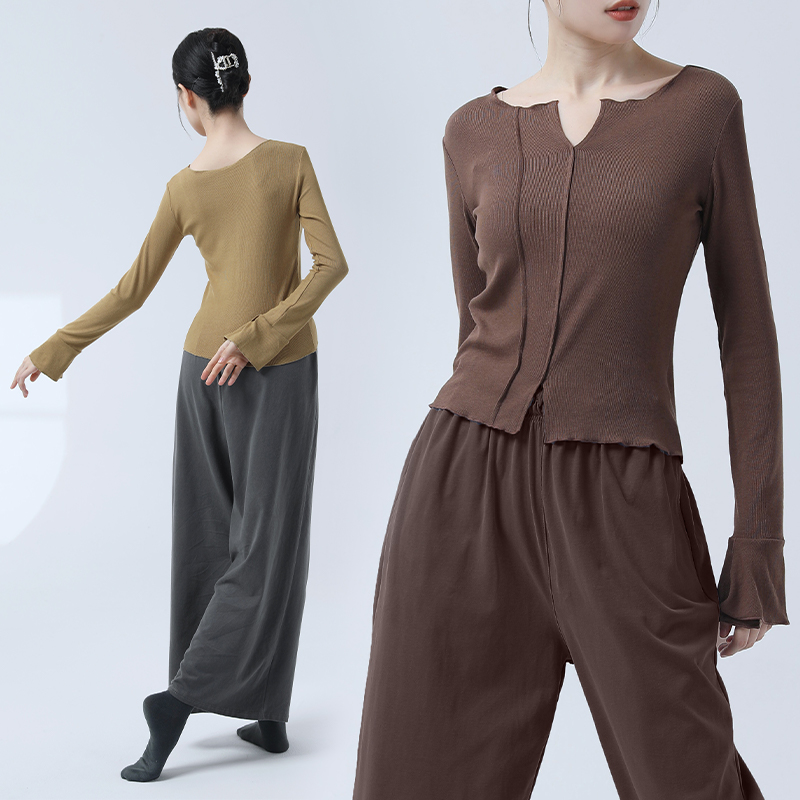 艾舞戈舞蹈服女长袖中国古典舞练功服形体跳舞专用成人现代舞上衣