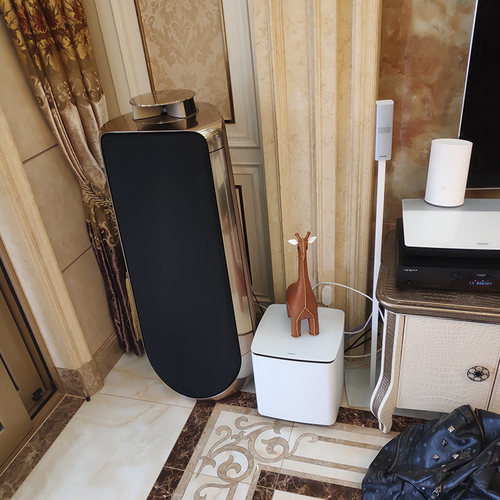 丹麦 B＆O BeoLab 50有源音箱lab50家庭影院bo50音响落地低音 - 图1