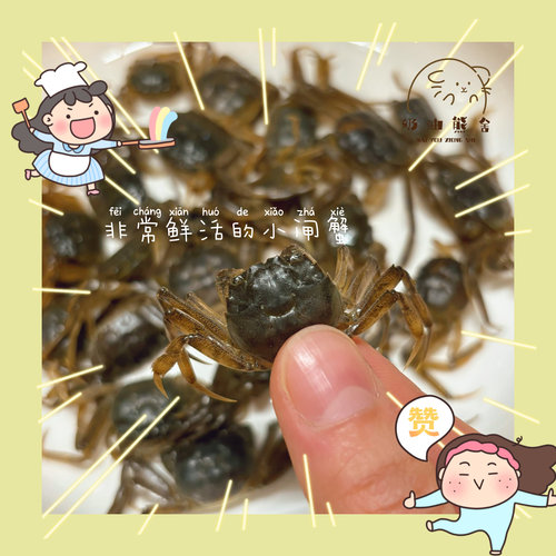 奶油熊舍手作烘干小闸蟹迷你螃蟹补钙长肉肉金丝熊花枝鼠零食仓鼠 - 图2