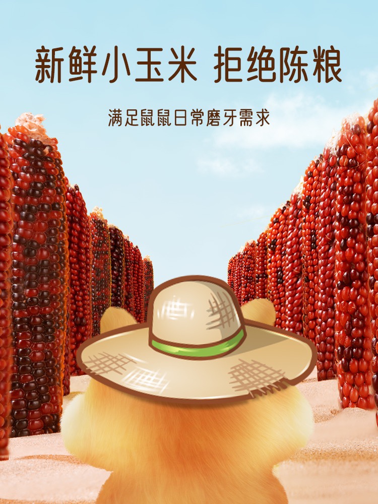 奶油熊舍迷你磨牙玉米棒仓鼠金丝熊龙猫花枝鼠零食营养粮食造景,淘宝优惠券,粉丝福利购,淘宝优惠卷