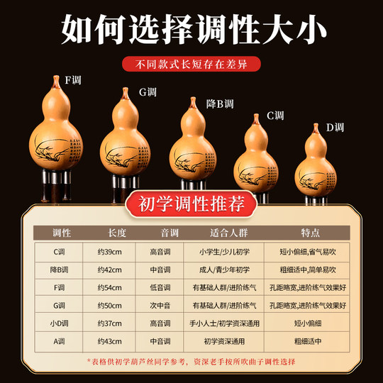 Tang Yin Hulusi Professional Performance Type