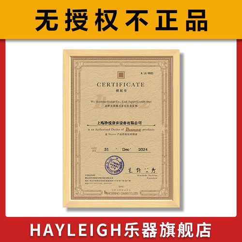 IBANEZ依班娜GRX40/70QA AZES40/GRG170入门初学者套装官方电吉他 - 图2