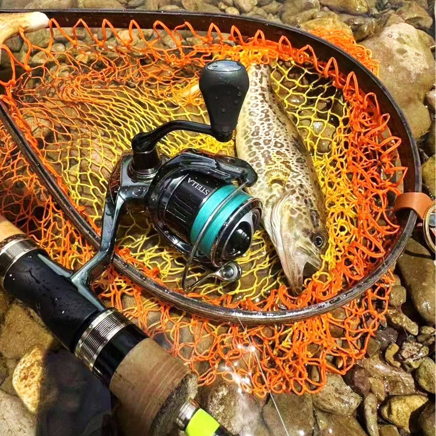 湛道旗舰 652LX 专业竞技 超高性能 鳜鱼路亚竿  精细虫竿1.96米,淘宝优惠券,粉丝福利购,淘宝优惠卷