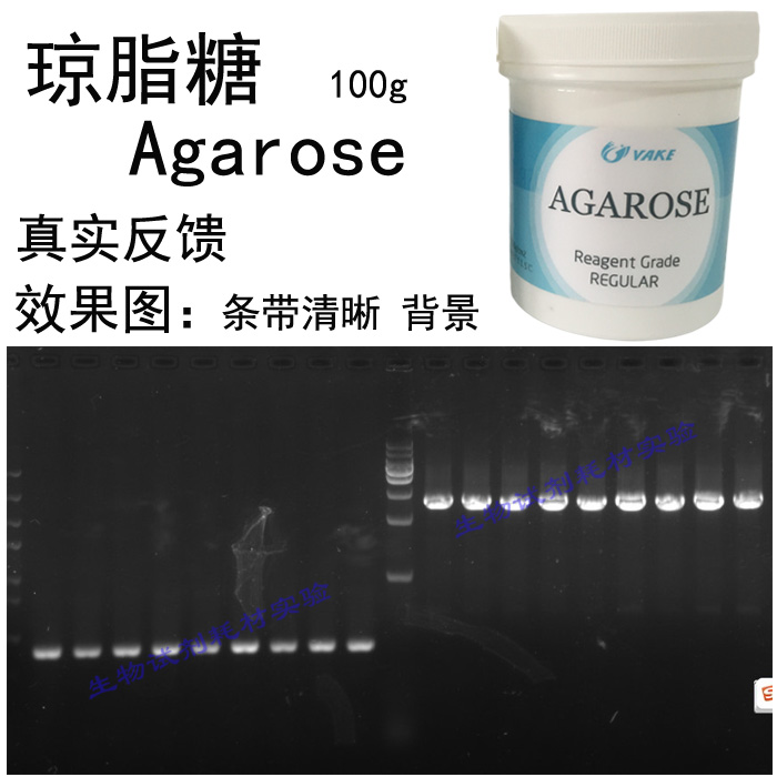 促销Agarose琼脂糖蛋白凝胶DNA电泳核酸分析琼胶分离分子实验科研 - 图0