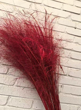粉黛家居装饰干花花束