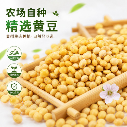 太朴有机会 新粮 贵州小黄豆打豆浆专用非转基因豆子大豆农家自种 - 图0