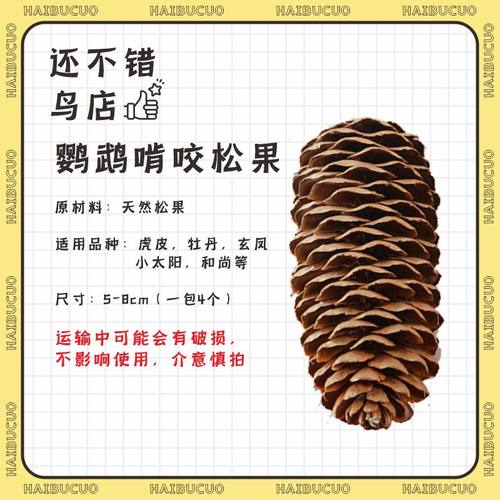 还不错的天然啃咬牡丹玄凤小太鹦鹉啃咬磨嘴乐趣发泄玩具解压玩具 - 图0