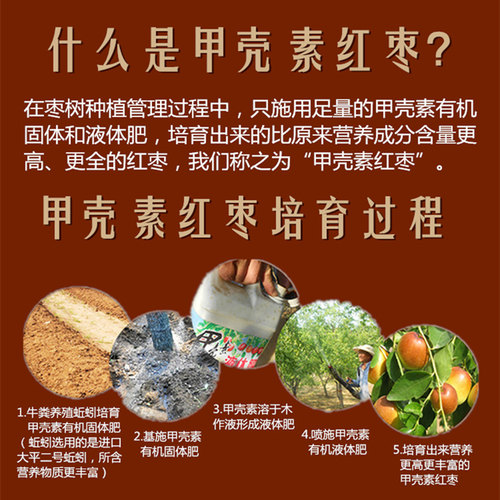 壳素红河北特产甲壳素红枣片绿色无核香甜酥脆干枣圈零食泡茶250g - 图2