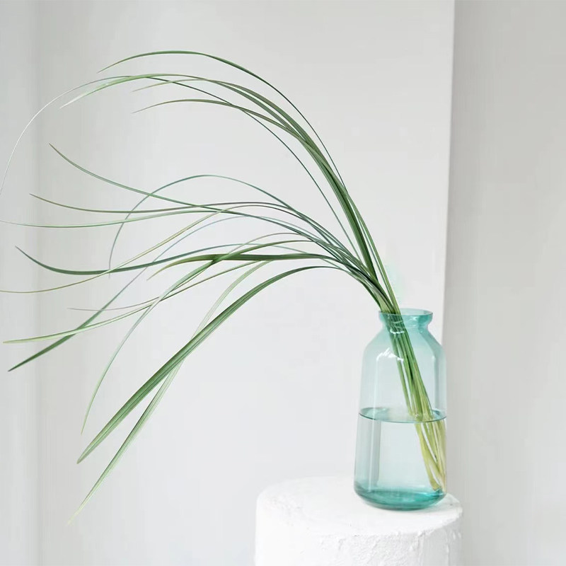 鱼尾叶鲜花云南基地直发栀子叶配草配花水养鲜切花家用瓶插花绿植,淘宝优惠券,粉丝福利购,淘宝优惠卷