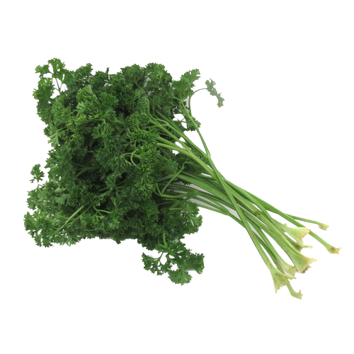 【老一生鲜】 荷兰芹500g新鲜西餐蔬菜 反西蕃茜洋芫荽法香 - 图2