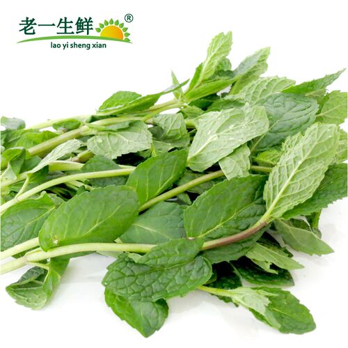 【老一生鲜】新鲜薄荷叶留兰香薄荷香料250g食用莫吉托 - 图1