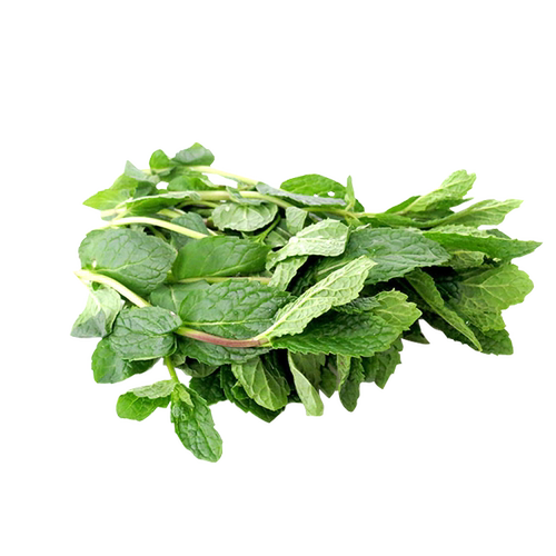 【老一生鲜】新鲜薄荷叶留兰香薄荷香料250g食用莫吉托 - 图3