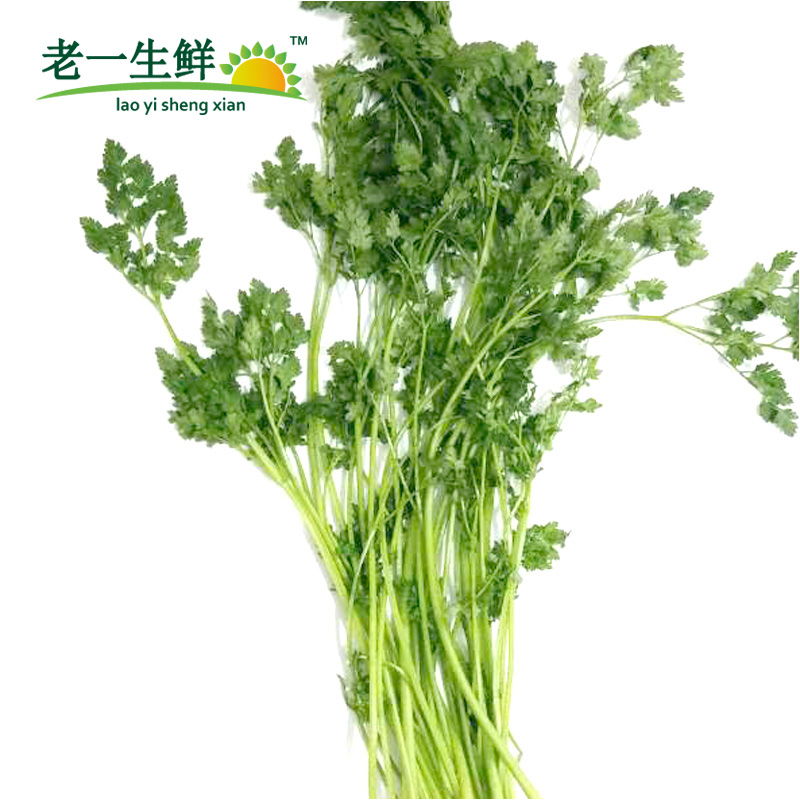 【老一生鲜】西餐香料细叶芹雪维菜有喙欧芹新鲜香料 100g-图1