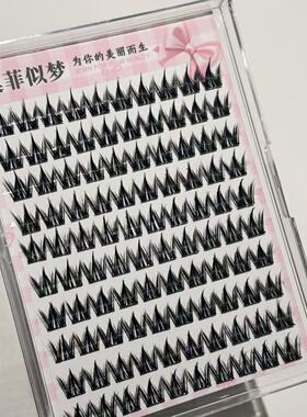 100簇免胶犬系假睫毛漫画款