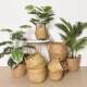 Nordic magnesium clay floor-standing flowerpot with large green plant