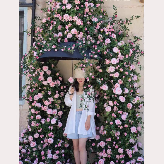 Internet celebrity check-in simulated rose wall covering the door