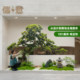 Simulated plant landscaping tropical rainforest large landscape fake green plant ornaments restaurant shopping mall decoration under the stairs