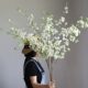 Wedding background simulated snow willow tree high texture decoration