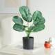 Living room ornaments potted plants simulated plant bonsai