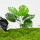 Simulated green plant landscaping accessories combination indoor layout courtyard DIY accessories wall decoration advanced bionic fake plants