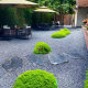 Xiaohongshu blogger recommends landscape stones for landscaping