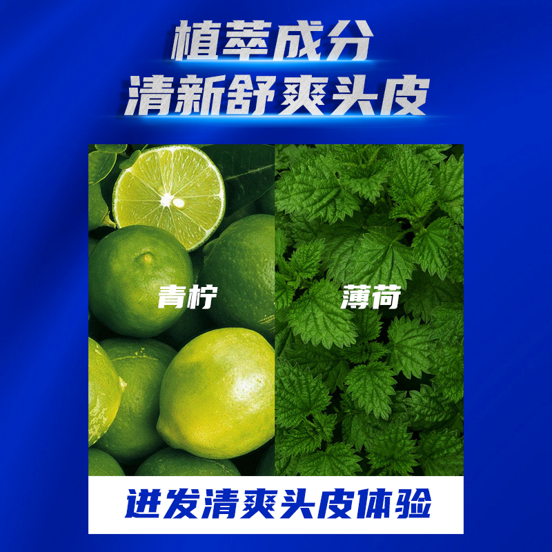 清扬洗发水露液男士专用清爽控油止痒去屑去油洗头膏正品官方官网-图1