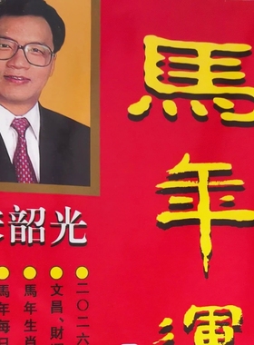 正版香港原装宋韶光吉祥物2026马年宋大师麦玲玲YC宋绍光TL