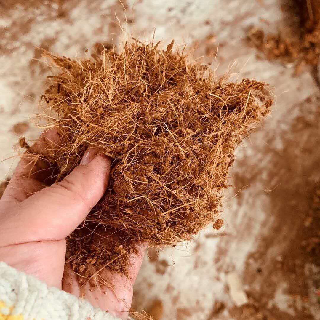 进口园艺椰丝铺面花盆填充物盆栽装饰植物种花椰棕丝棕榈盖面草-图1