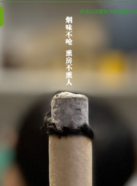 熏房间艾绒苍术净化空气